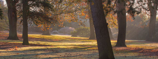 手机号在线轰炸